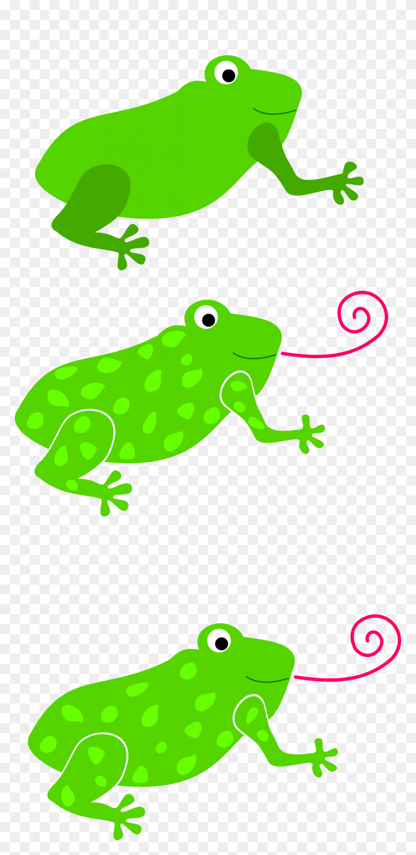 1123x2400 Clipart - Tree Frog Clipart