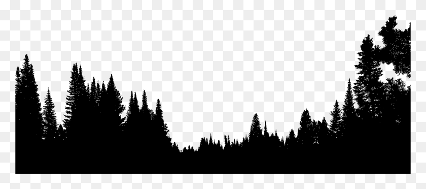 2372x950 Clipart - Trees Silhouette PNG