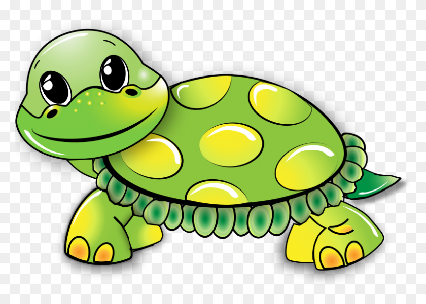 794x550 Clipart - Turtle PNG
