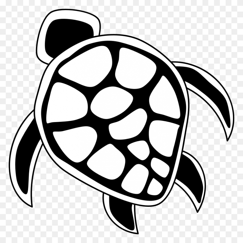 803x804 Clipart - Tortuga Png Clipart
