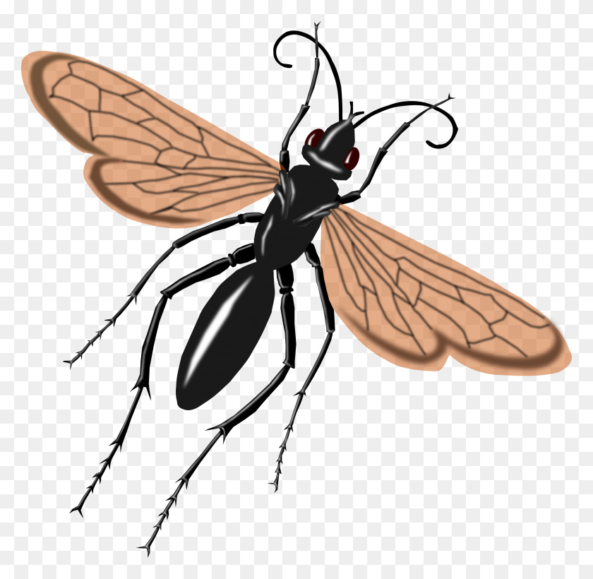 2400x2341 Clipart - Wasp Clipart