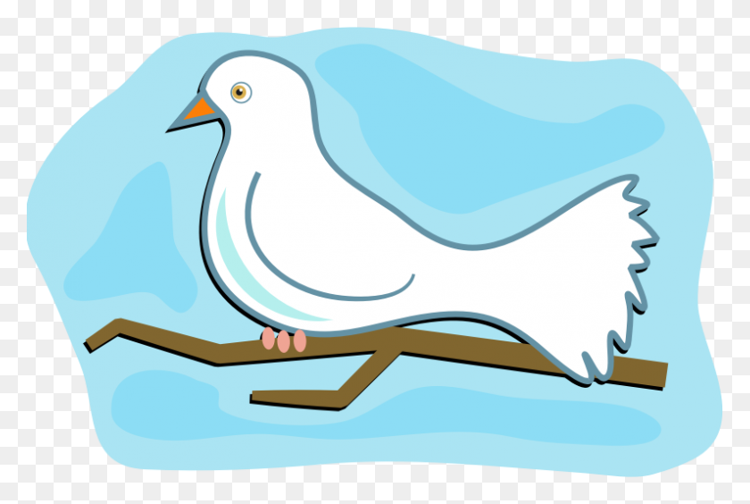 794x514 Clipart - White Dove PNG