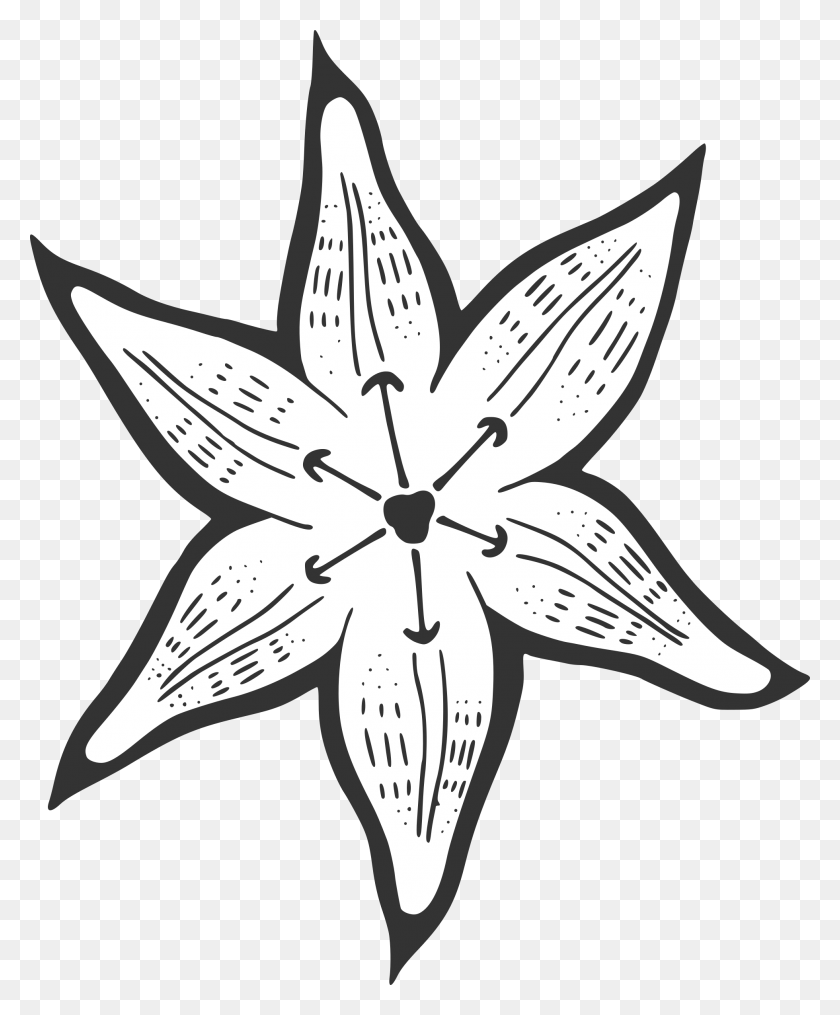 1960x2400 Clipart - White Lily Clipart