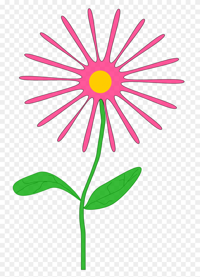 1697x2400 Clipart - Wildflower PNG