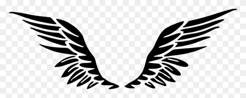 800x283 Clipart - Wings Clipart