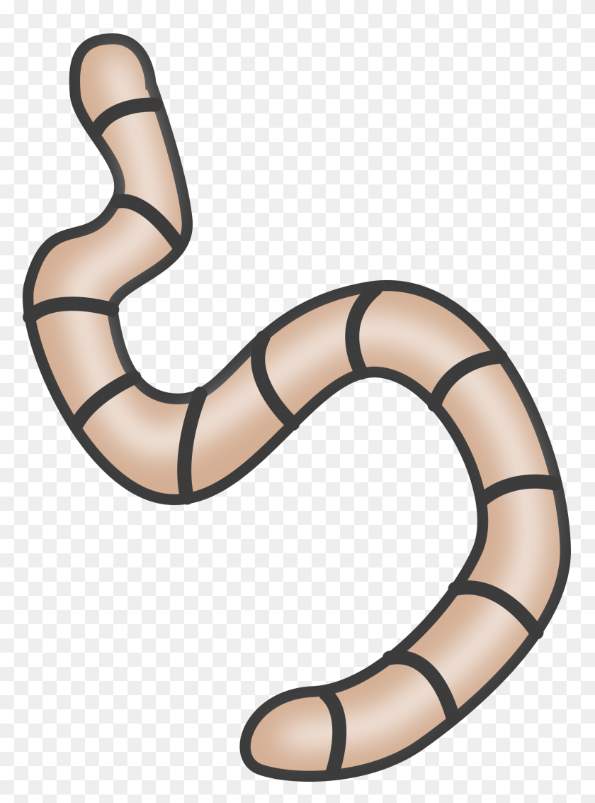 1745x2400 Clipart - Worm Clipart Black And White