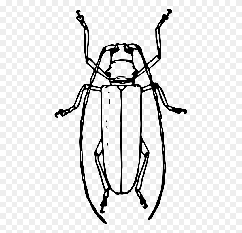 461x749 Clipart - Beetle Clipart En Blanco Y Negro