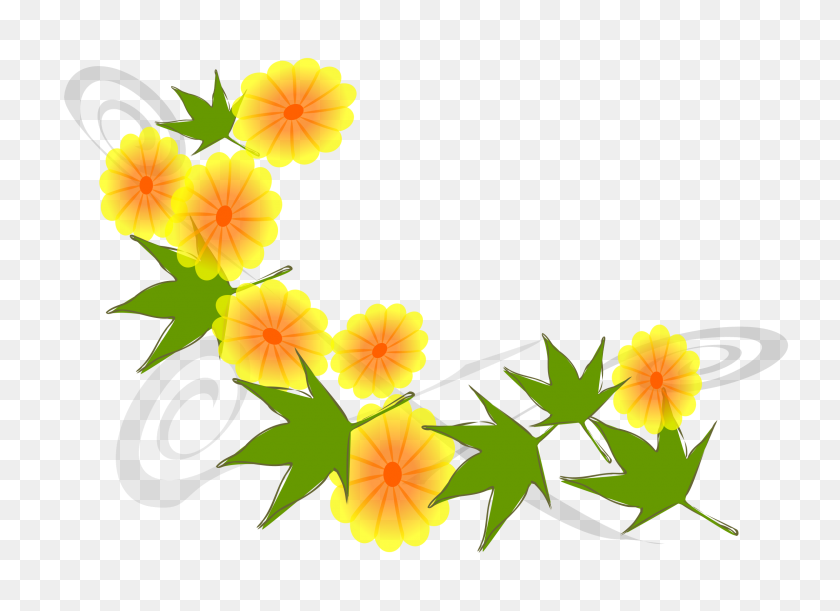 2400x1697 Clipart - Blooming Flower Clipart