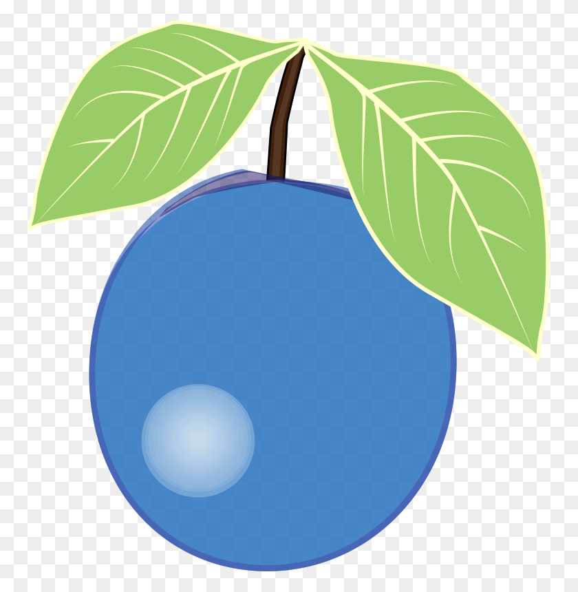 759x800 Clipart - Blueberry Clipart
