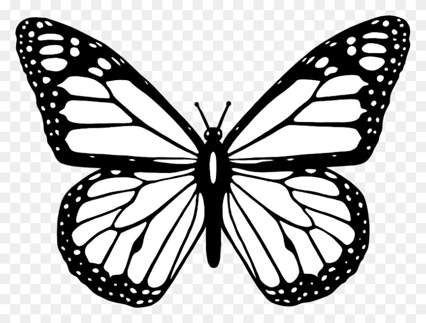 792x586 Clipart - Butterfly Clipart PNG