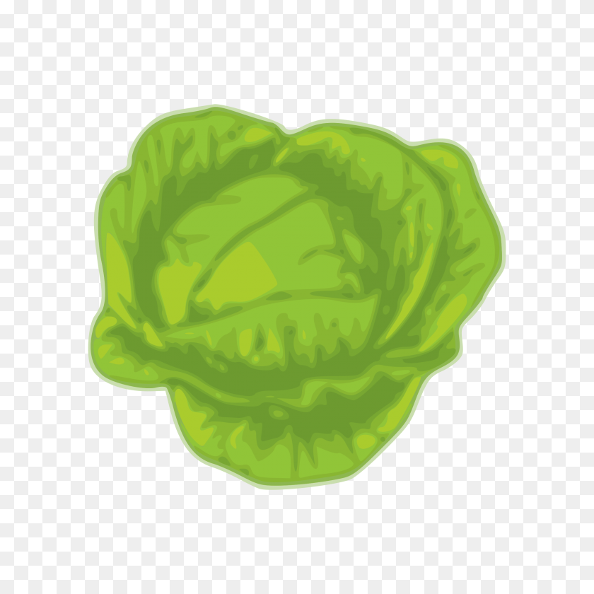 2400x2400 Clipart - Cabbage Clipart