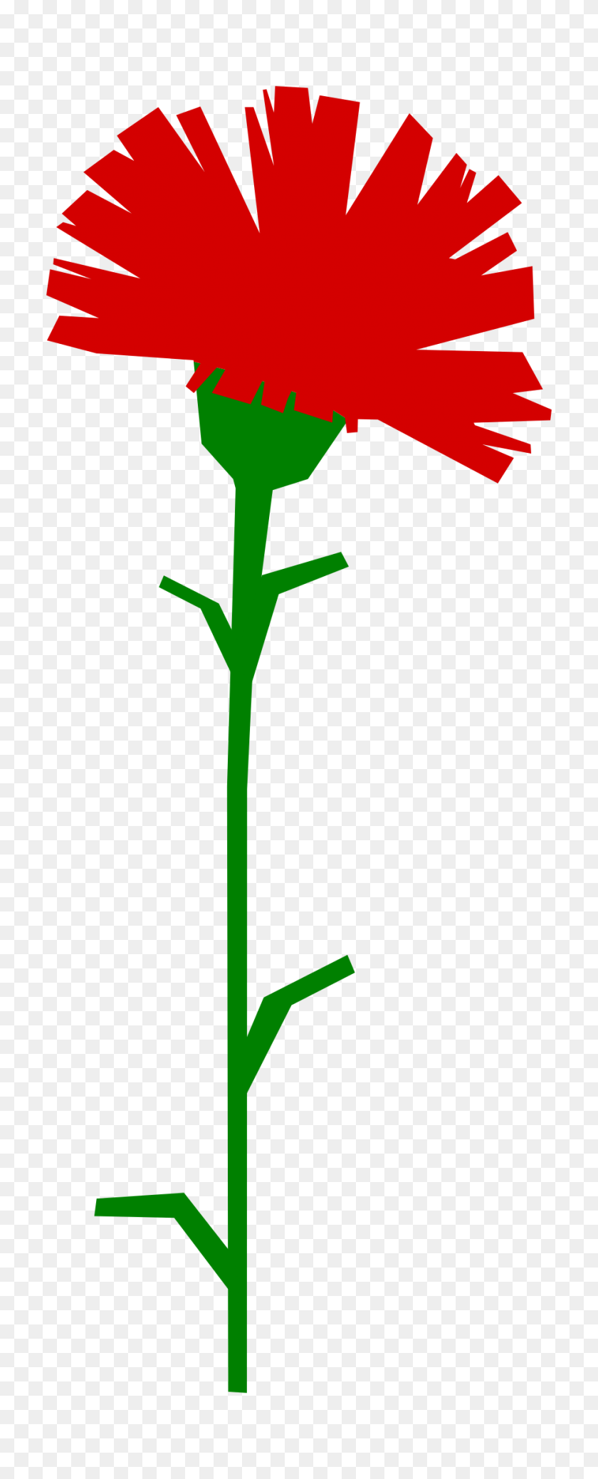 928x2400 Clipart - Carnation PNG