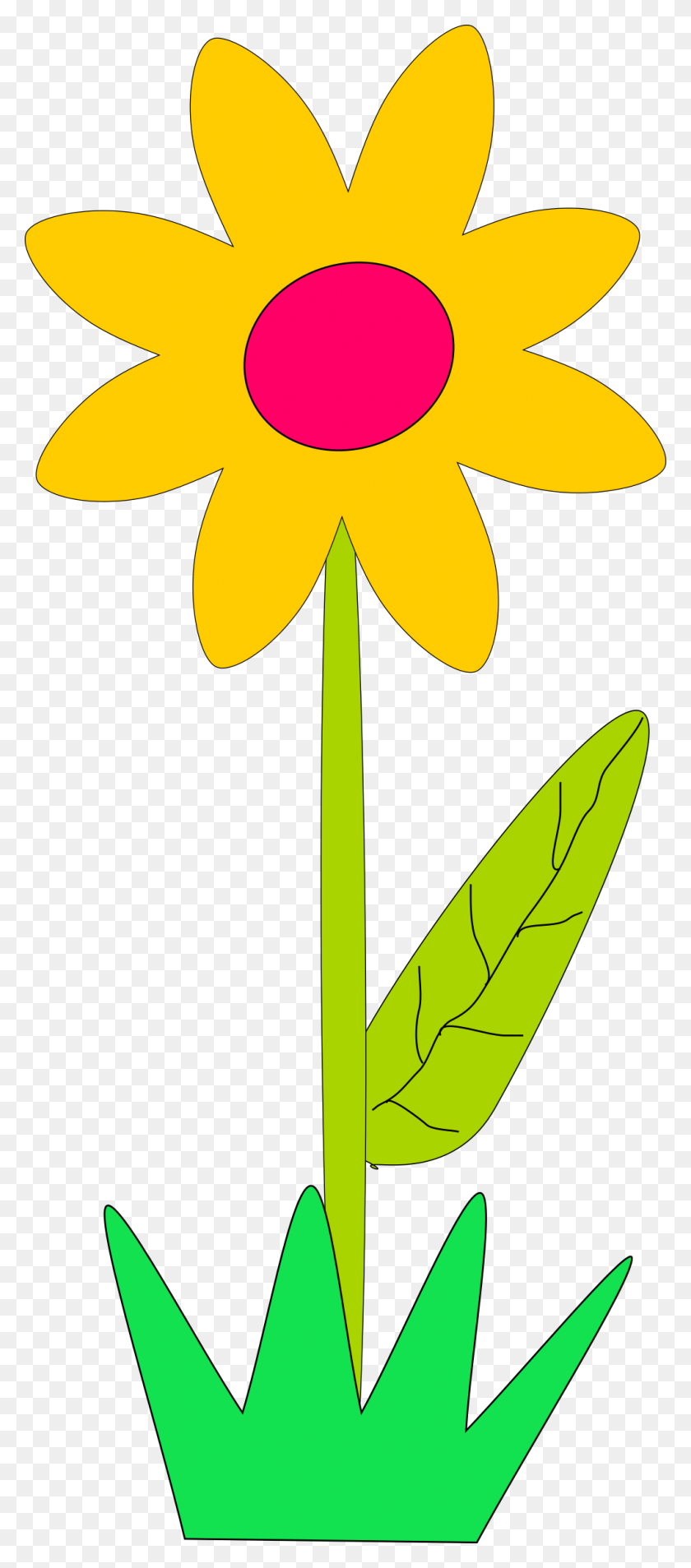 1013x2400 Clipart - Cartoon Flower PNG
