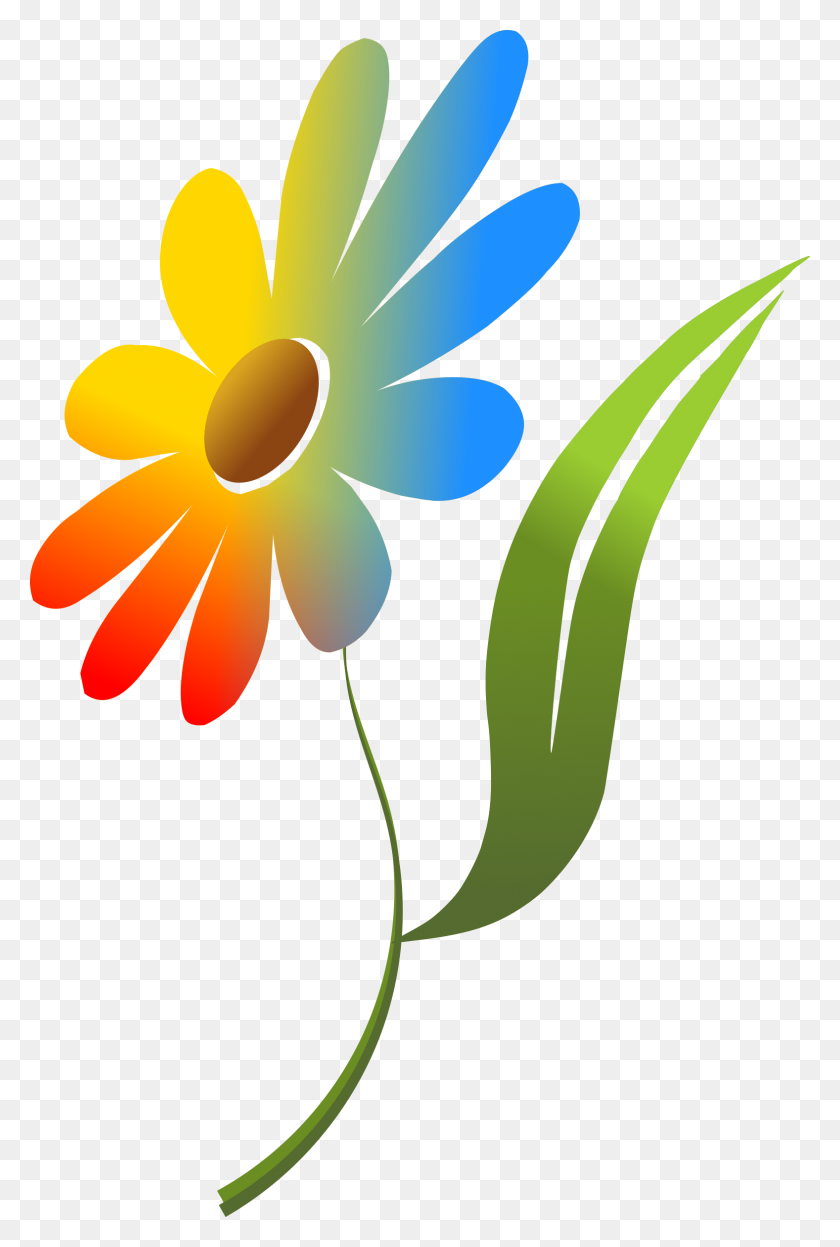 1577x2400 Clipart - Chamomile PNG