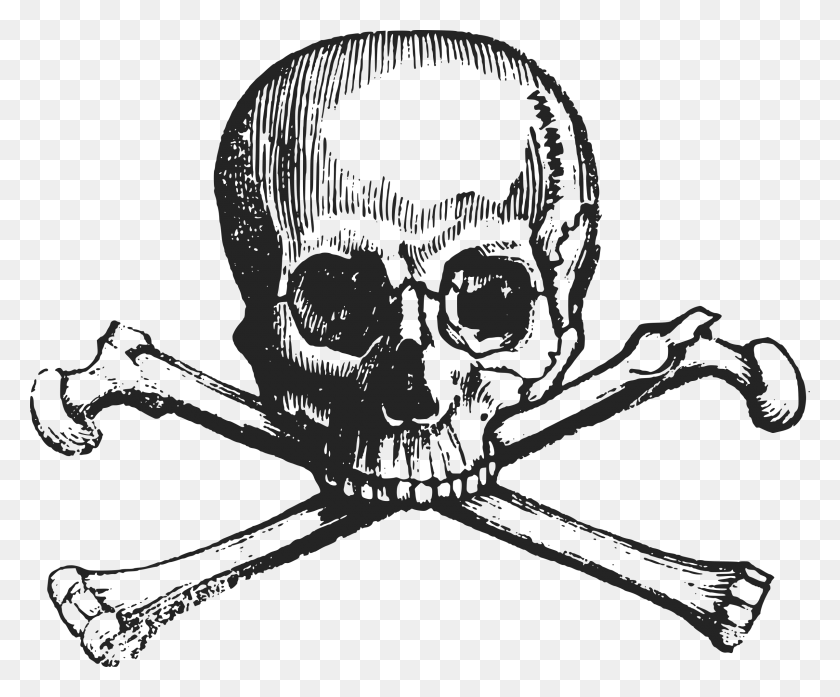 2400x1960 Clipart - Clip Art Skull And Cross Bones