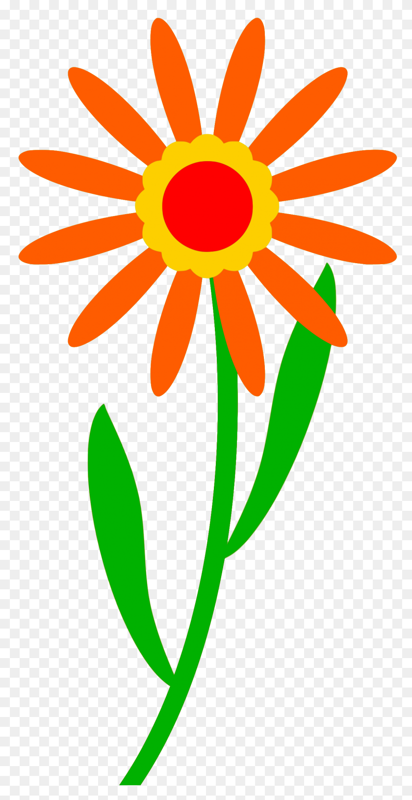 1193x2400 Clipart - Colorful Flowers Clipart