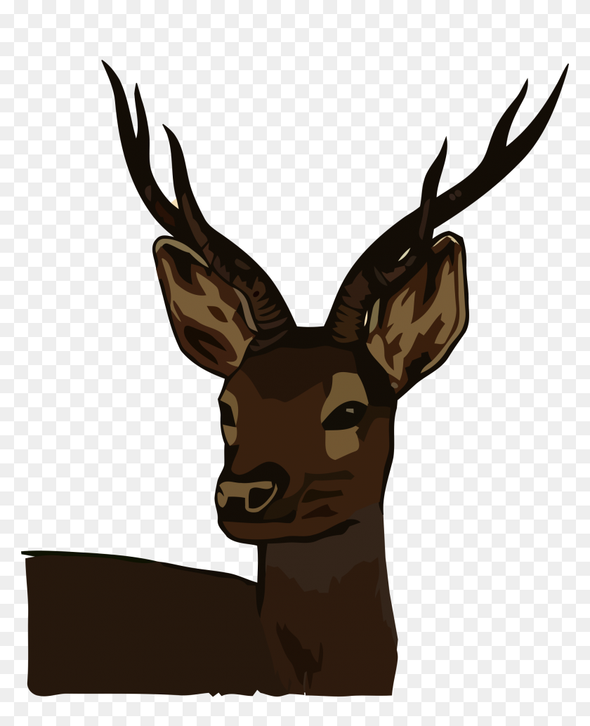 1921x2400 Clipart - Deer Head PNG