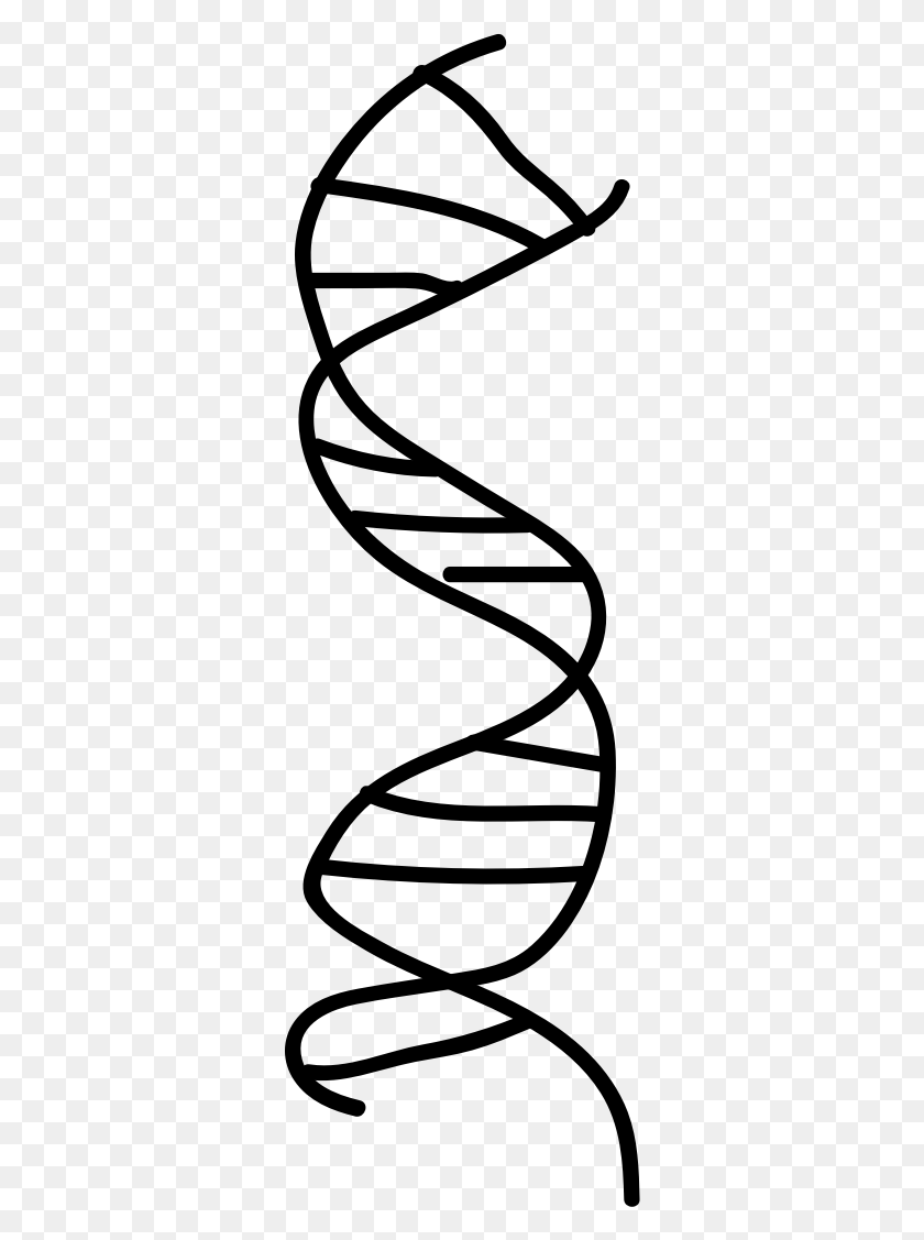 324x1067 Clipart - Dna Clipart Black And White