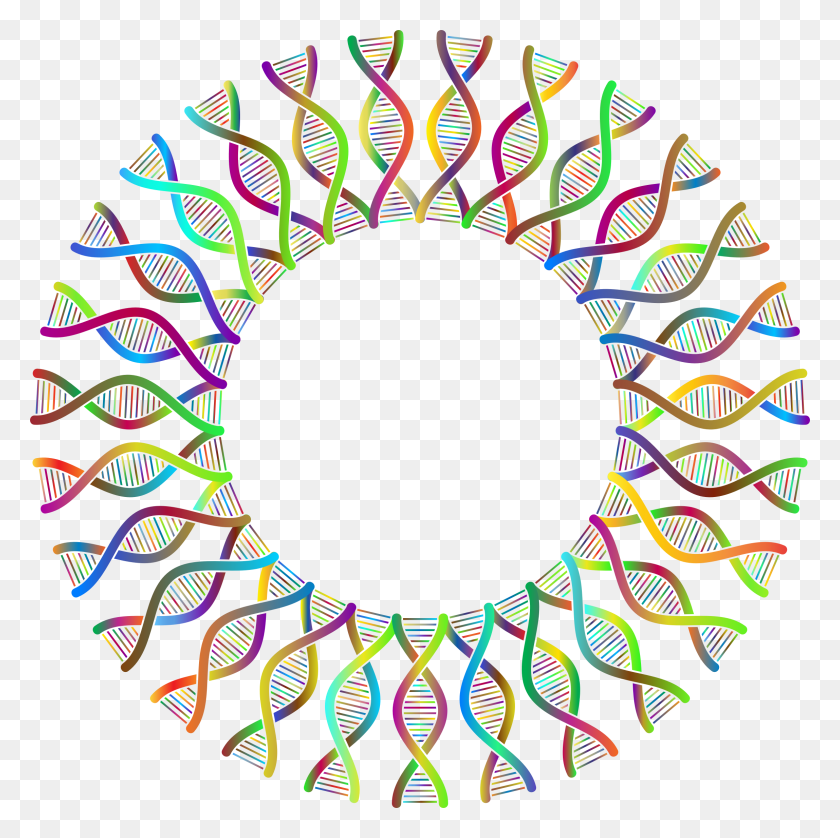 2298x2294 Clipart - Dna Helix PNG