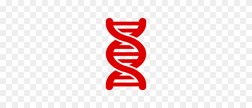 194x300 Clipart - Dna Strand PNG