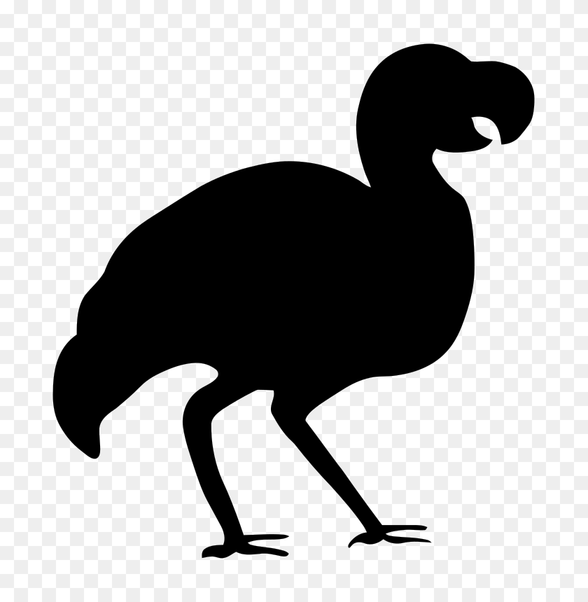 753x800 Clipart - Dodo Bird Clipart