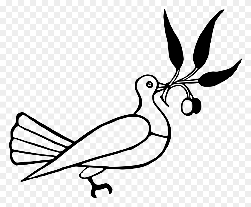 2400x1950 Clipart - Dove With Olive Branch Clip Art