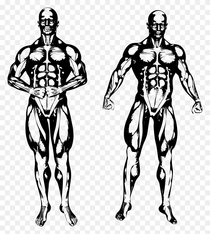 2090x2344 Clipart - Muscle Man PNG