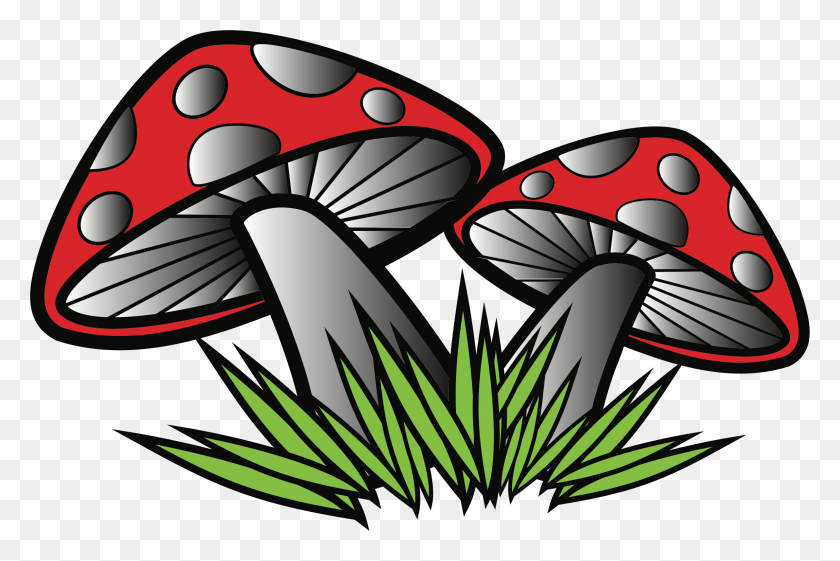 2382x1531 Clipart - Mushrooms PNG