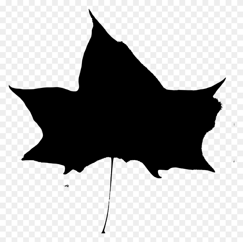 2328x2318 Клипарт - Осенние Листья Черно-Белые Картинки