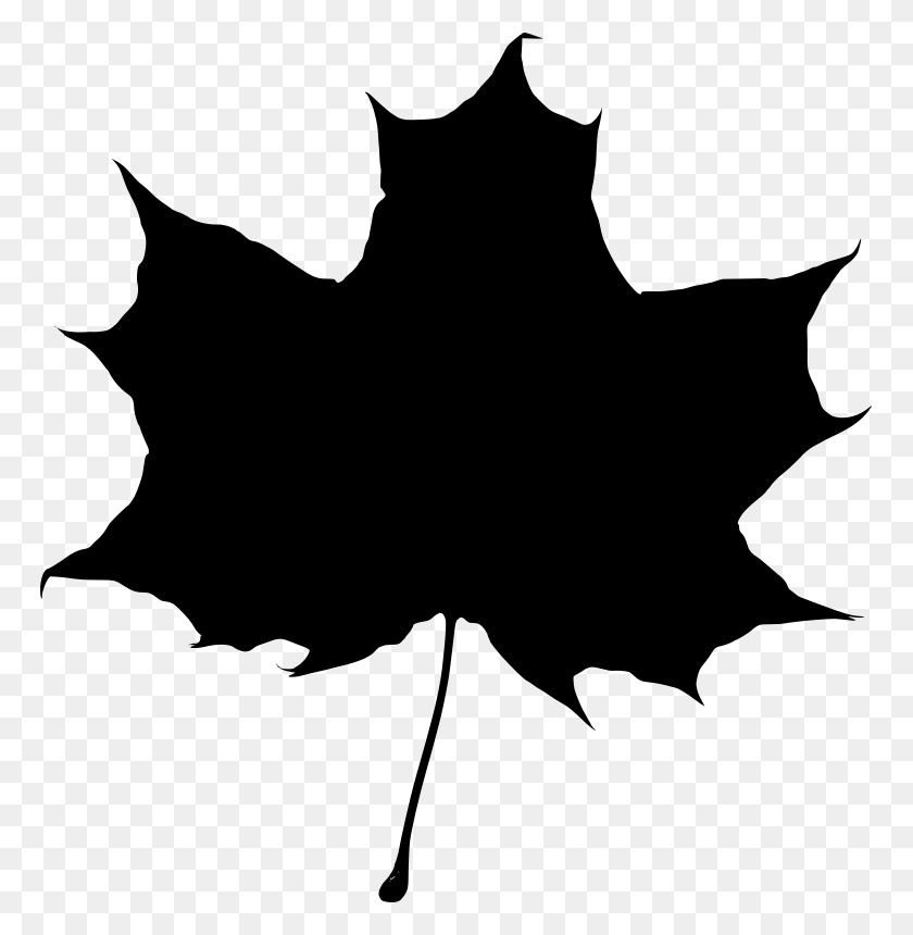 765x800 Клипарт - Осенние Листья Черно-Белые Картинки
