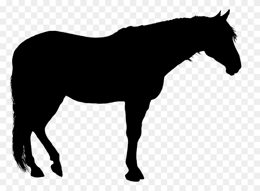 2314x1660 Clipart - Mustang Horse Clipart