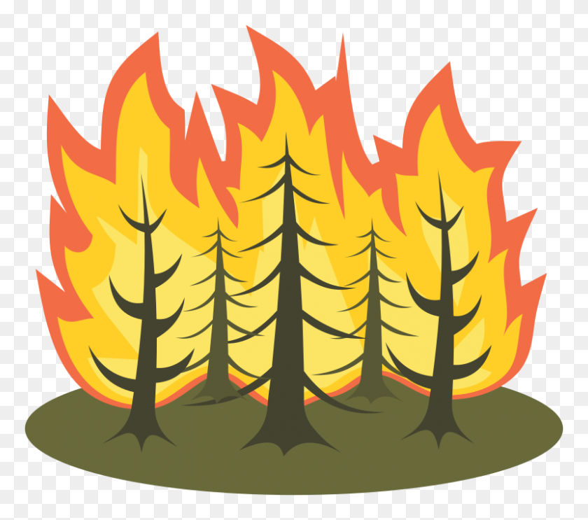 800x701 Clipart - Fire PNG Images
