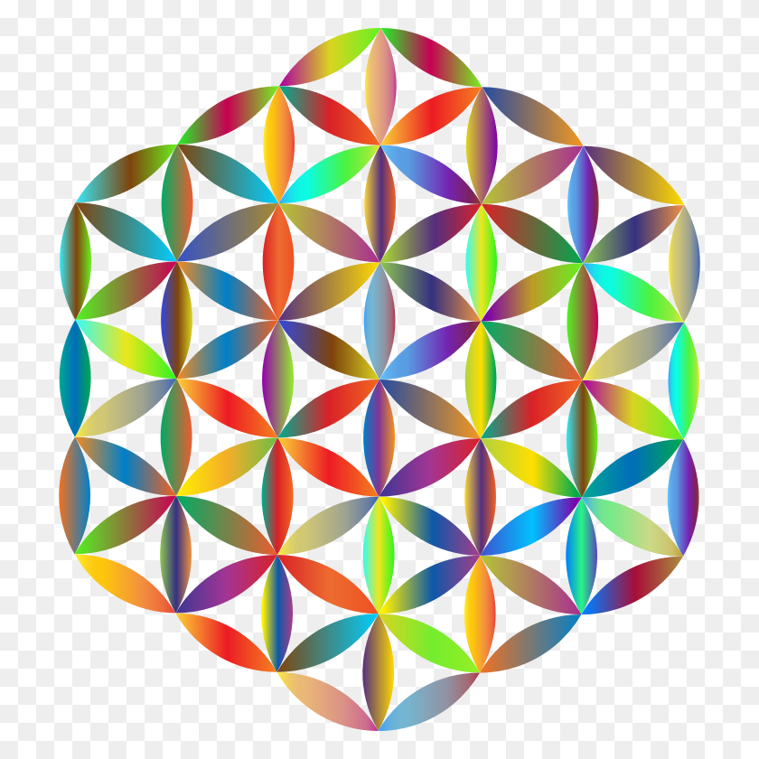 710x780 Clipart - Flower Of Life PNG