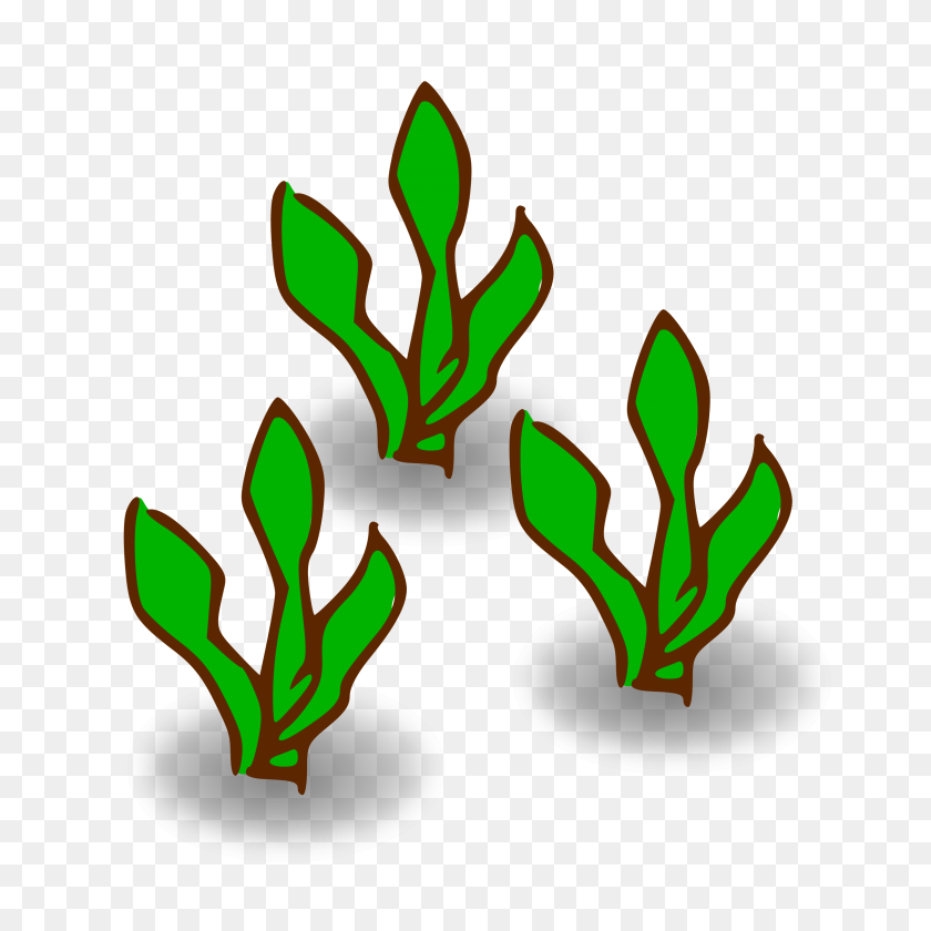 2400x2400 Clipart - Forest Clipart PNG