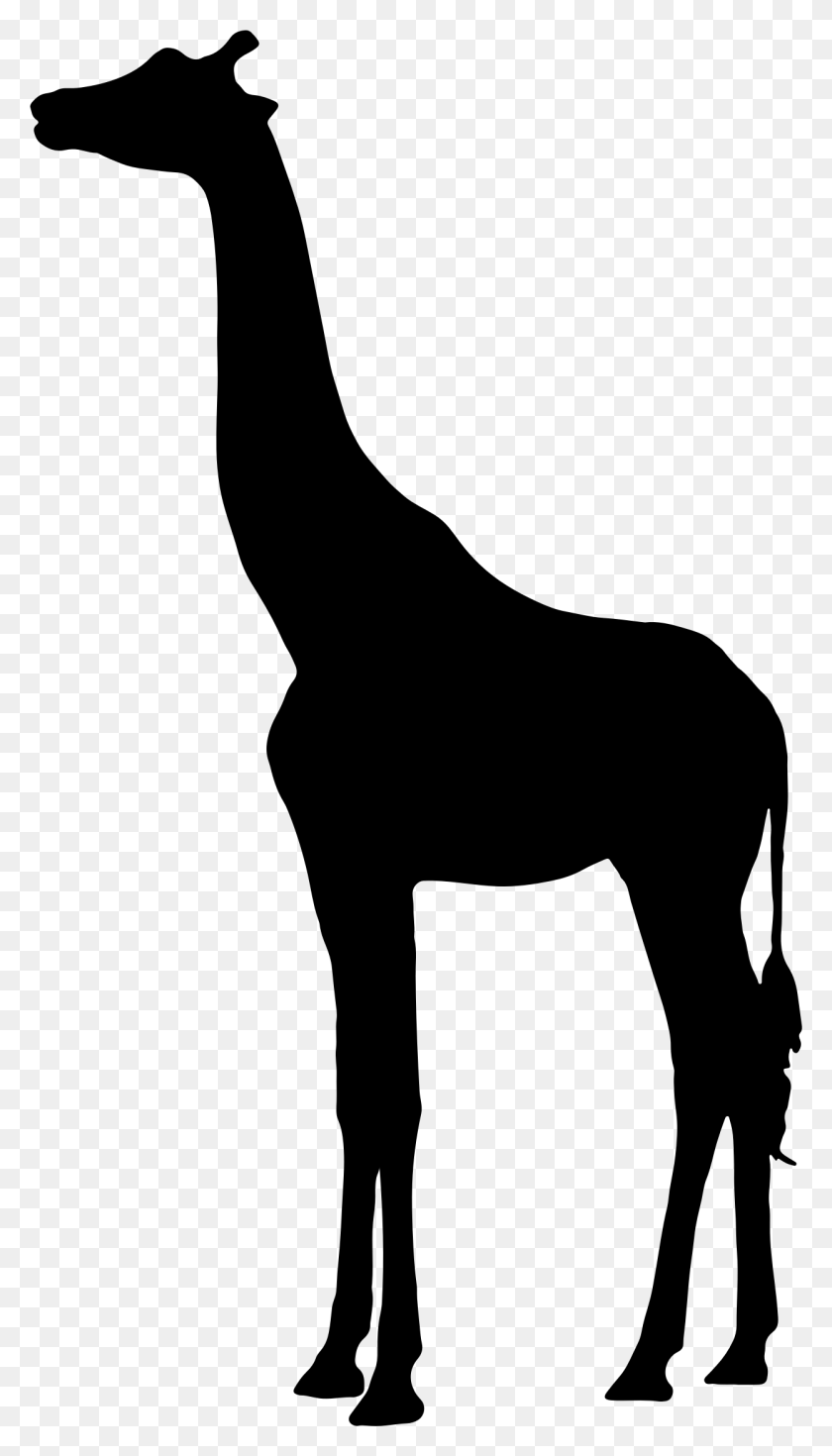 1250x2261 Clipart - Giraffe Silhouette Clip Art