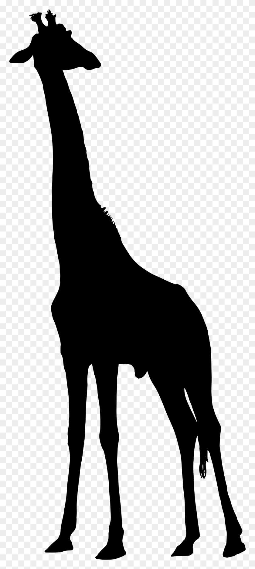 1010x2342 Clipart - Giraffe Silhouette Clip Art
