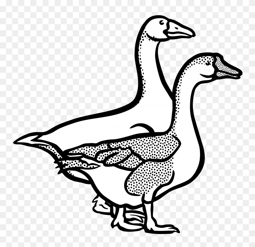 2400x2325 Clipart - Goose Clipart Black And White
