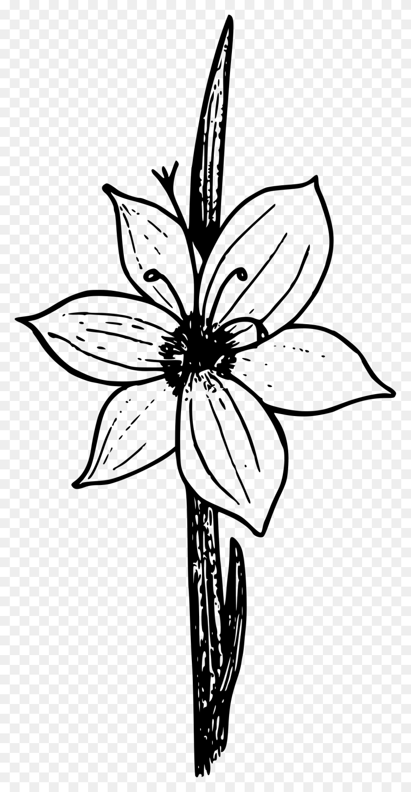 1200x2400 Clipart - Grass Clipart Black And White