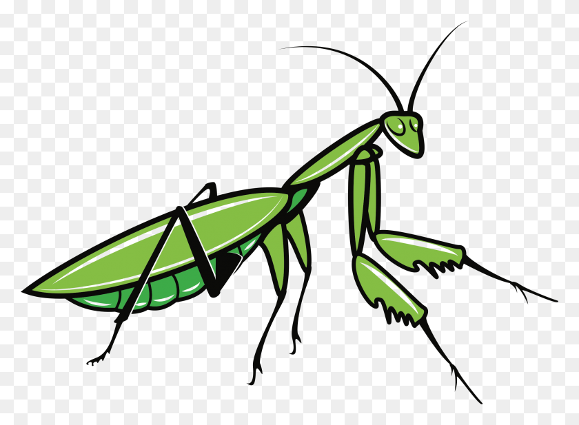 2398x1713 Clipart - Grasshopper Clipart