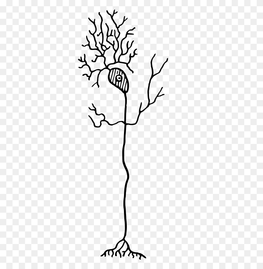 342x800 Clipart - Neuron Clipart