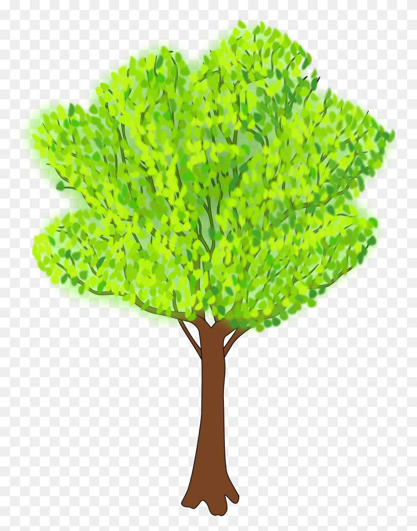 1853x2400 Clipart - Greenery PNG