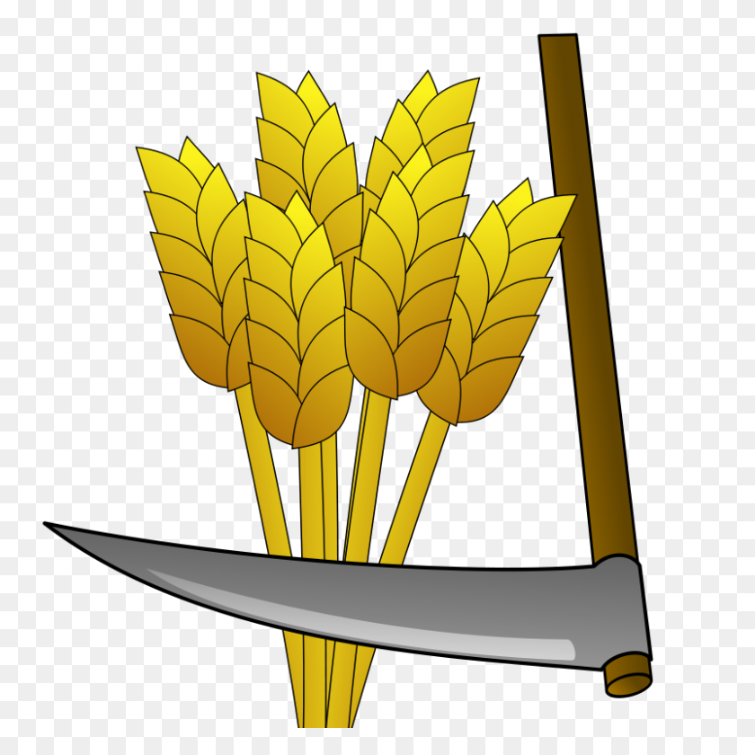 800x800 Clipart - Hammer And Saw Clipart