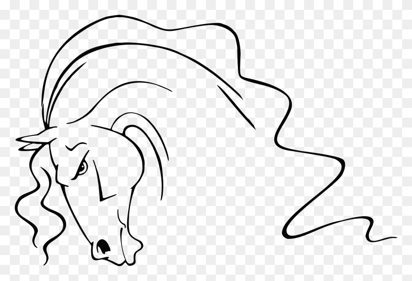 2304x1518 Clipart - Horse Head Clipart Black And White