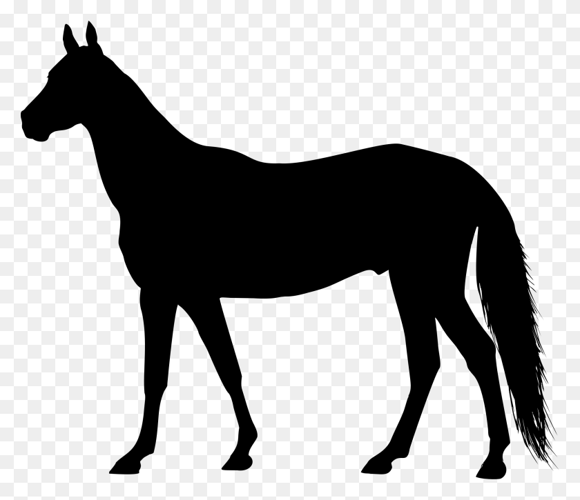 2289x1954 Clipart - Horse Silhouette Clip Art