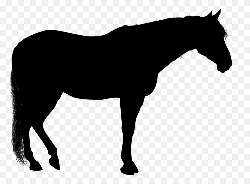 2313x1661 Clipart - Horse Silhouette Clip Art