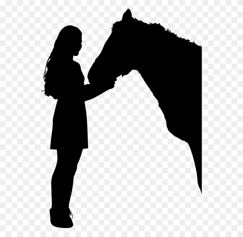 556x760 Clipart - Horse Silhouette PNG