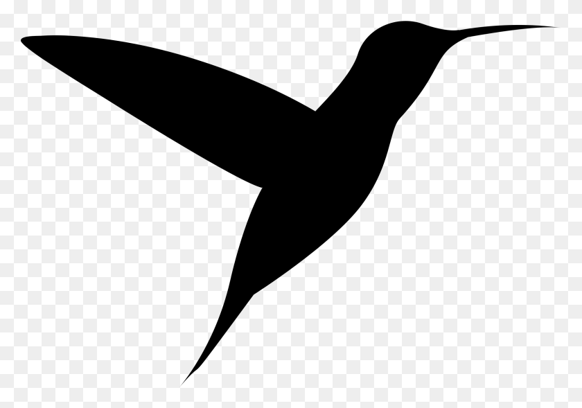 2310x1569 Clipart - Hummingbird Clipart Black And White