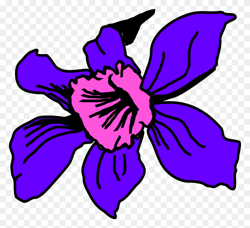 2400x2176 Clipart - Iris Flower Clipart
