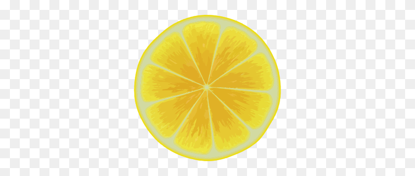 298x296 Clipart - Lemon Slice PNG