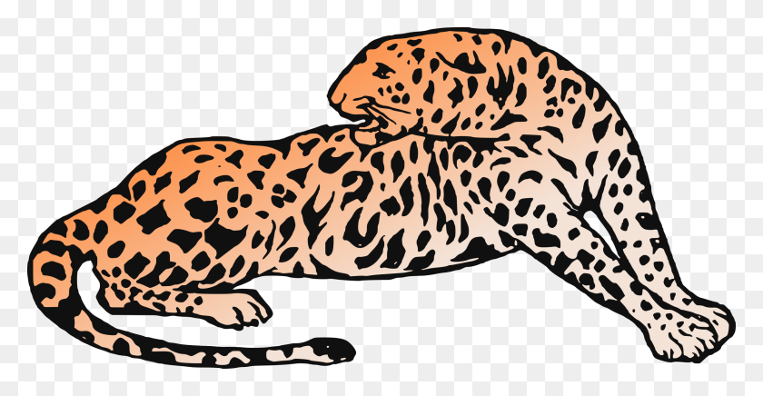 2400x1157 Imágenes Prediseñadas - Leopardo Png